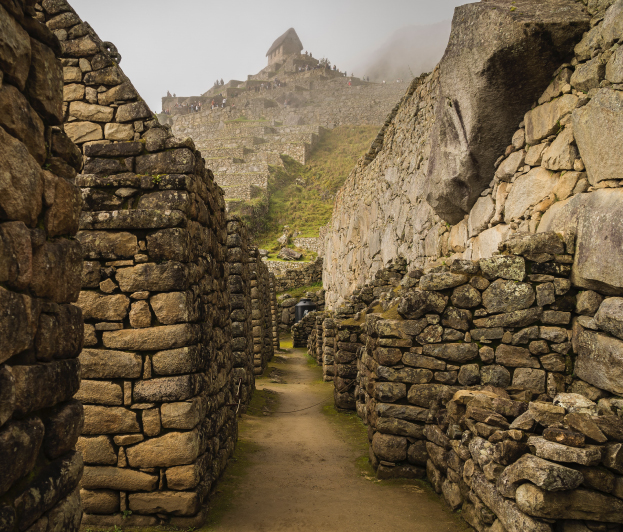 From-the-Rainforest-to-Machu-Picchu-7